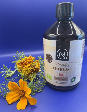 FERMENT, RED REISHI