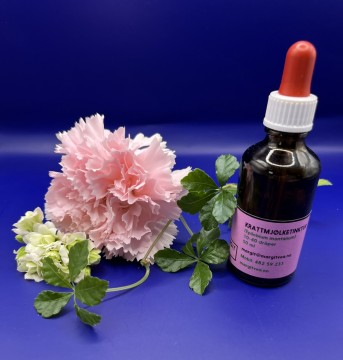 KRATTMJØLKETINKTUR, epilobium montanum